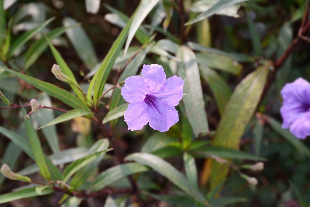 非凡娱乐-科技赋能场景,让娱乐更有趣!